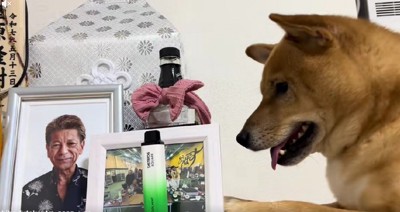 寂しそうな表情に