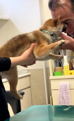 子犬に顔を寄せる先生