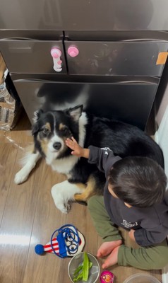 愛を育んできたレアちゃんと男の子8