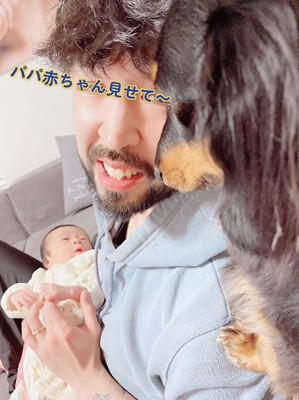 覗く犬