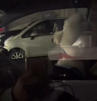 「知らんぷりしとこ…」