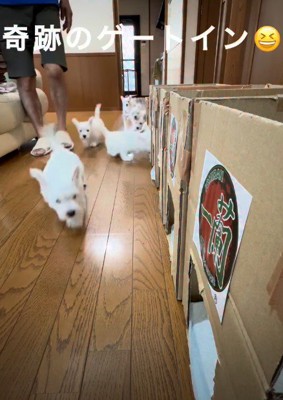 一蘭みたいな食事部屋！