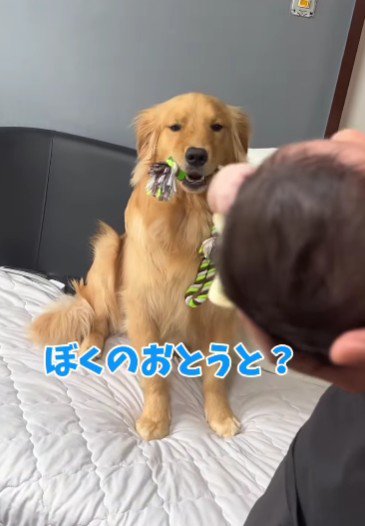 赤ちゃんに気が付いた!!