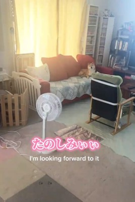 ソファで寛ぐこまりちゃん