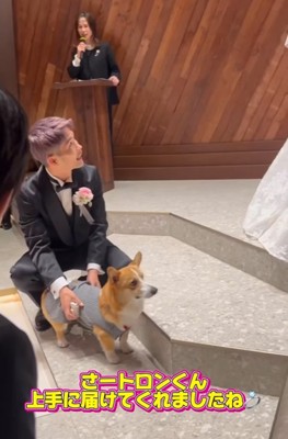 飼い主さんご夫婦にリングを届け終えた中型犬