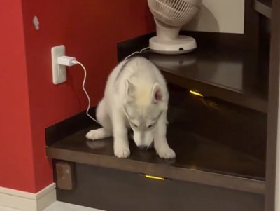 ソワソワ…