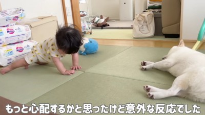 「強くなれ、坊や…」