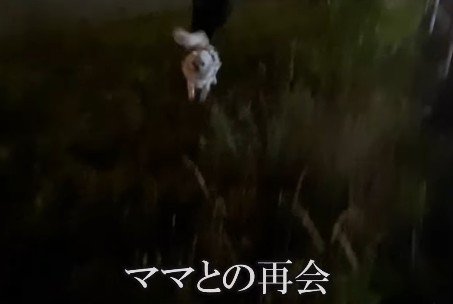 「やっぱりいた!!」