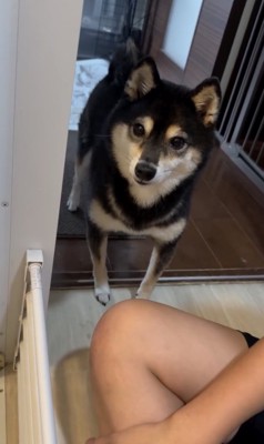 「…どうしよ」