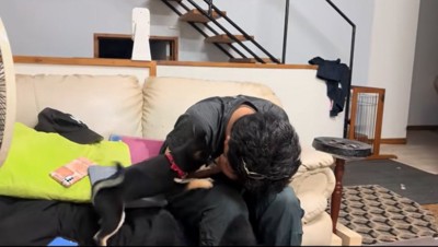 心配する柴犬
