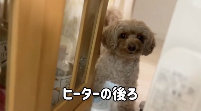 死角を有効活用