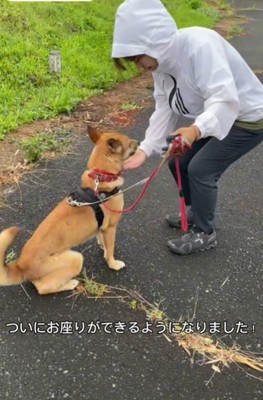 おすわりもできるよ!