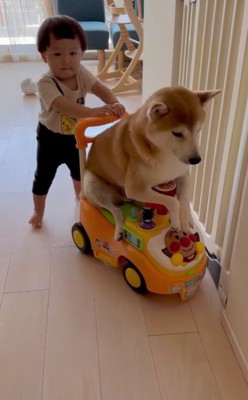 最高に微笑ましい…♡