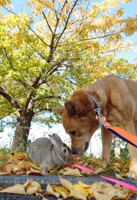 心配性の風太くん