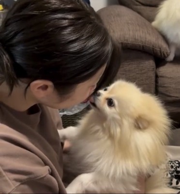 ママの口元を舐める犬