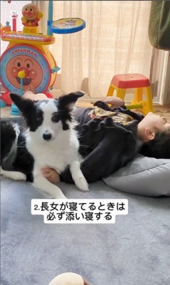 女の子とアグちゃんの日常4