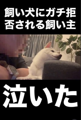 逆向いちゃった!