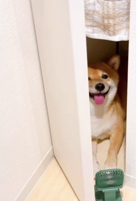 快適な空間に…♡