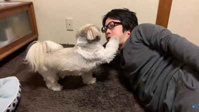 みかんを食べたいてんぽさん3