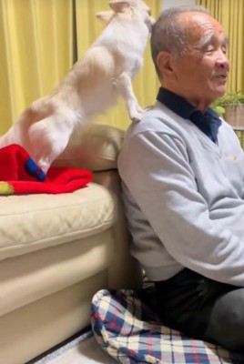 おじいちゃんに夢中！？