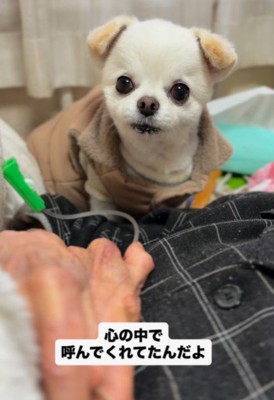 心の中で呼んでいた