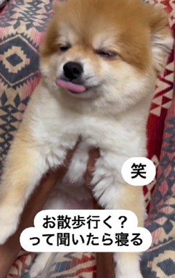 「今日はどこに行くのかな♪」