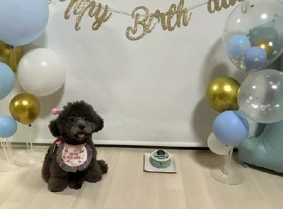 お誕生日をお祝い