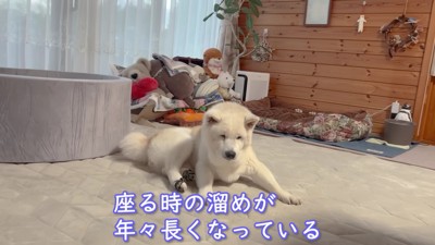 ちょっぴりひとやすみ