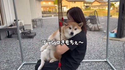 満足そうなおもちくん