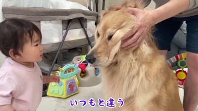 おからちゃんに興味津々