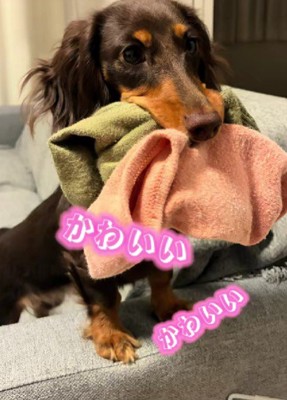 唯一無二の個性だね！！