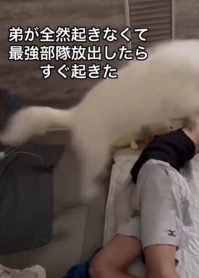 豪快な特大ジャンプ！