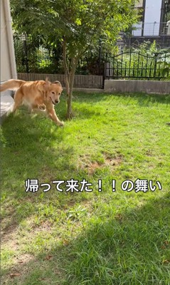 ララちゃんの熱烈歓迎5