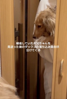 健気すぎます…！