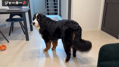 まさかのフリーズ！