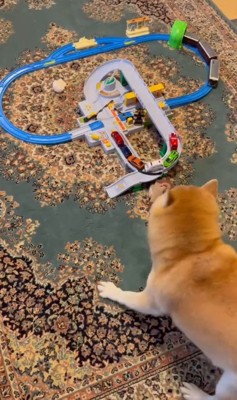 貫禄あふれる大御所だけど…