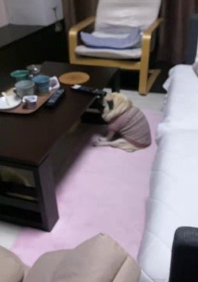 迎えに行ってみたら…