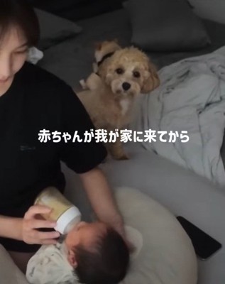 お兄ちゃんになった結果…