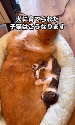 ぎゅうぎゅう詰め♡