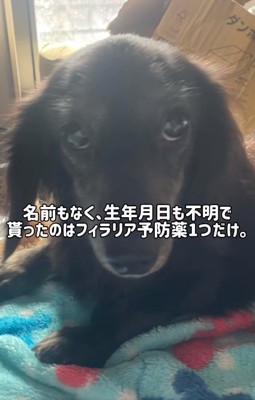 上目遣いの次郎くん