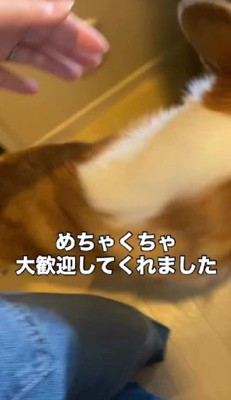 大興奮でお迎え！！
