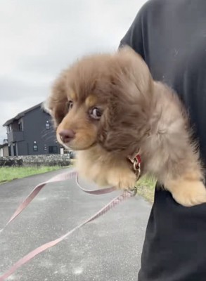 手足をバタバタ!
