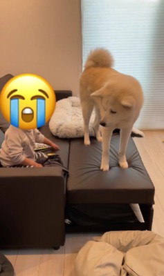 「見えない～！」