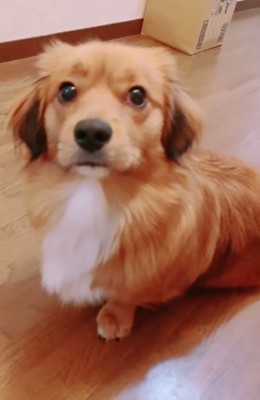 これからも幸せに!!