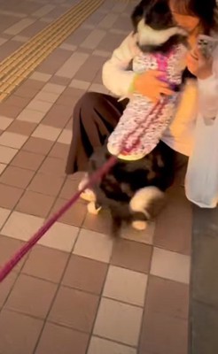 思わず尻もち！