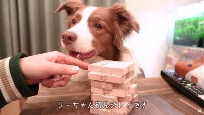 ママが指さしたブロックを…