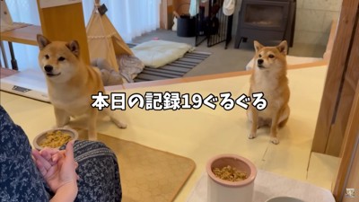 前のめりなお座り