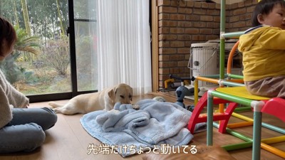 ゴンちゃんも見守っています