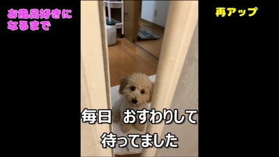 脱衣所から浴室を眺める犬