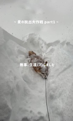 気合いで方向転換!